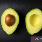 10 Makanan Penghilang Stres untuk Mood yang Baik pukat.jpg